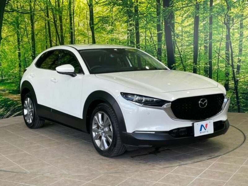 CX-30
