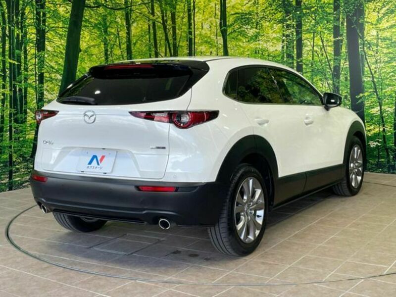 CX-30