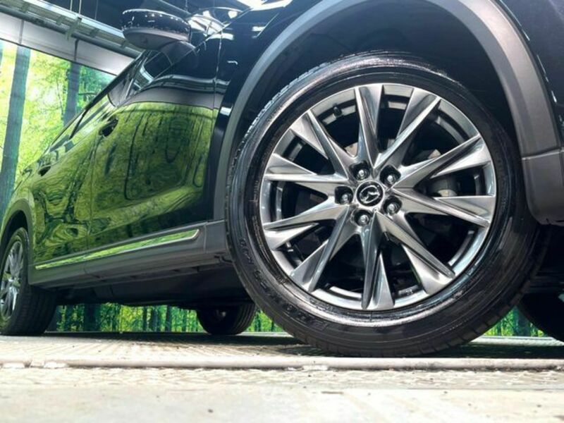 CX-8-13