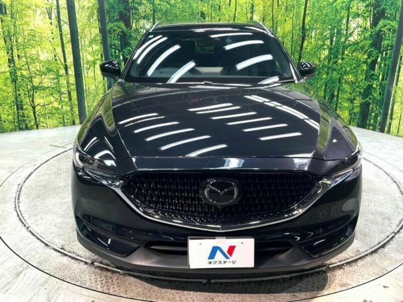 CX-8-14