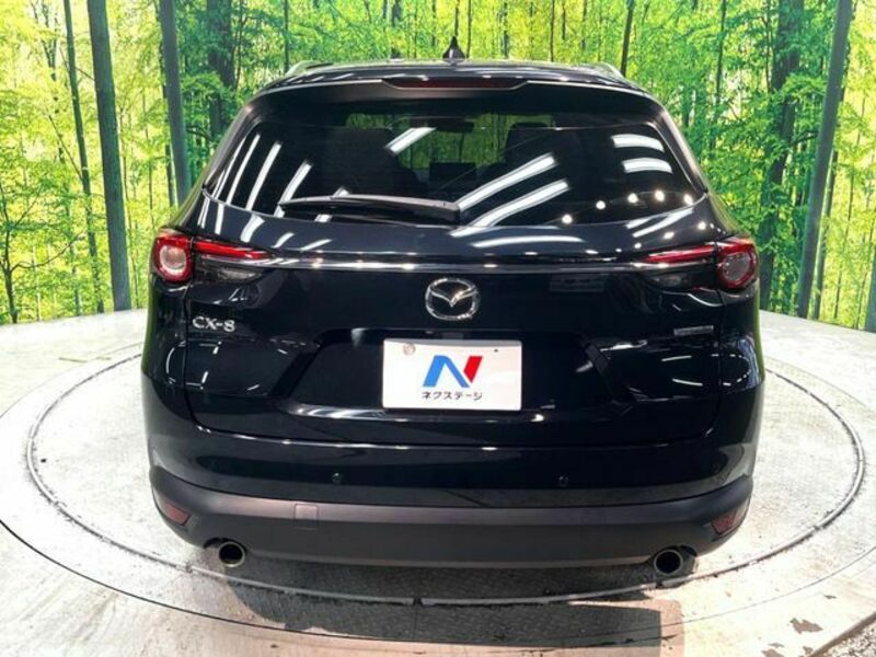 CX-8-15
