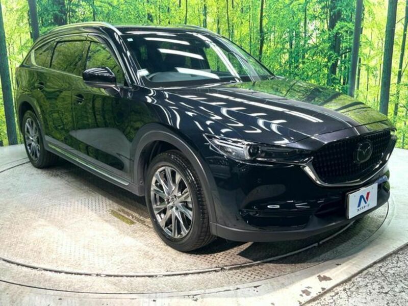 CX-8-16