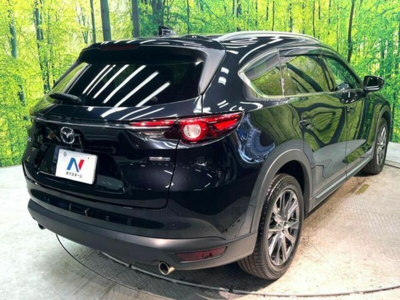 CX-8-17