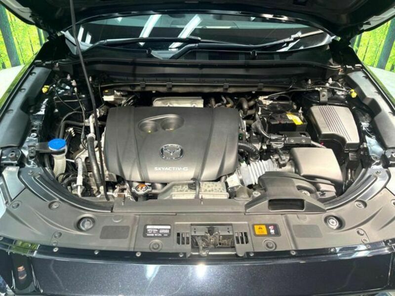 CX-8-18