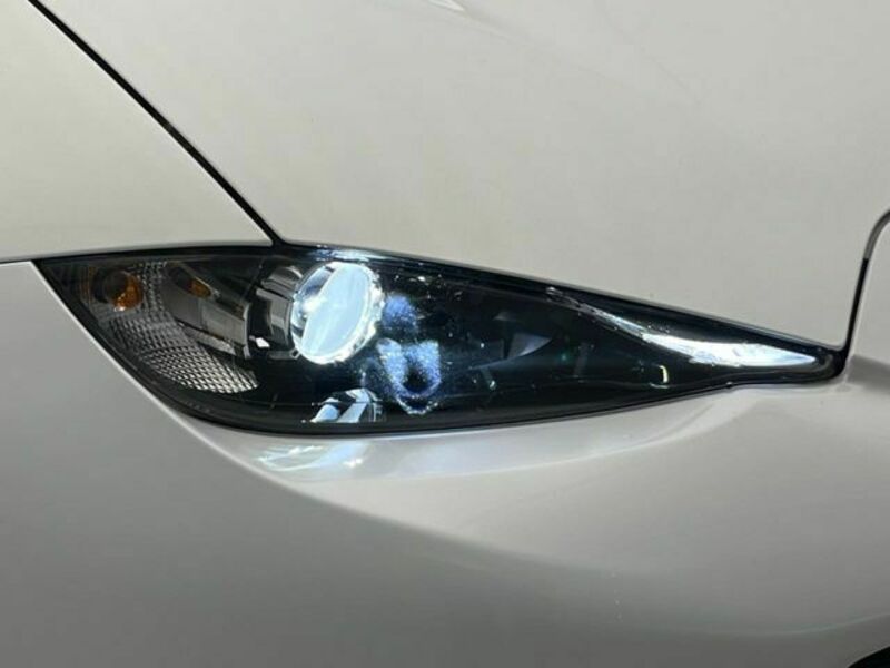 ROADSTER RF