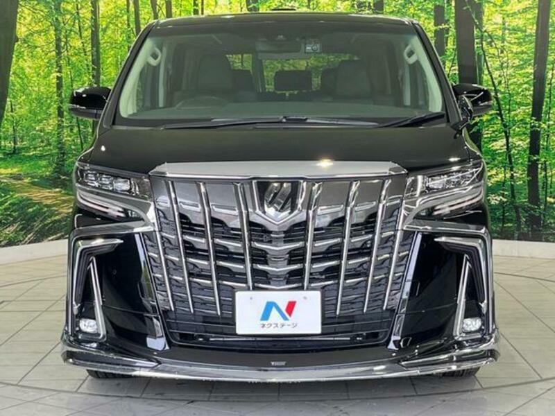 ALPHARD-15