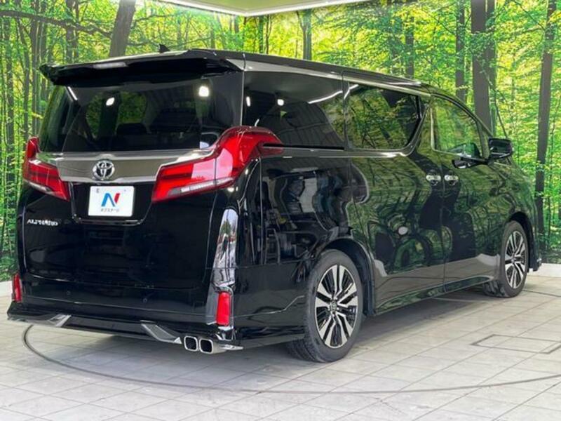 ALPHARD-17