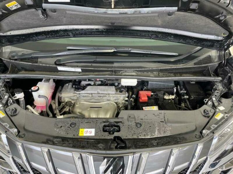 ALPHARD-18