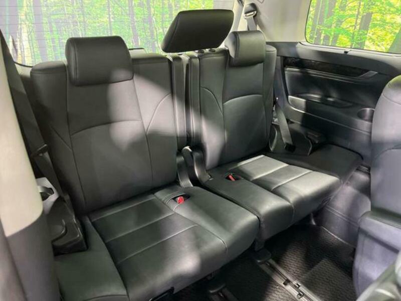 ALPHARD-10