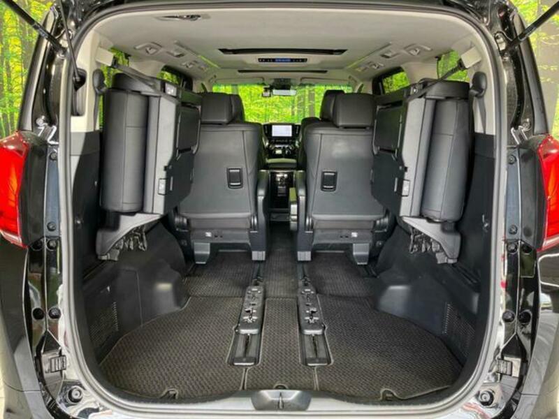 ALPHARD-11