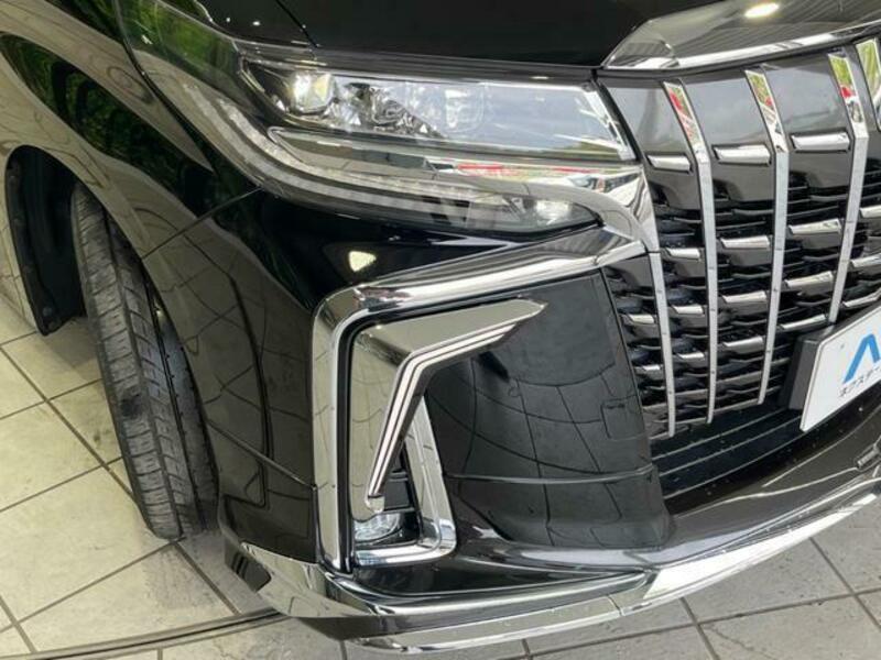 ALPHARD-13