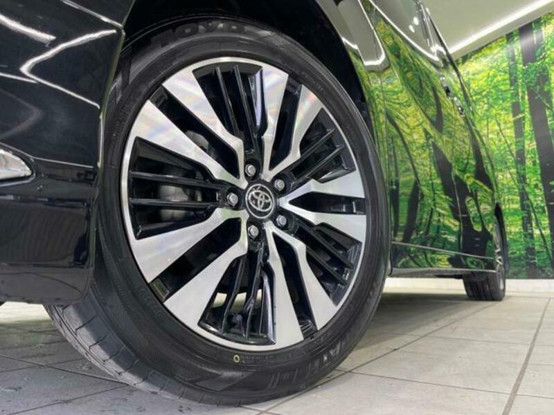 ALPHARD-14