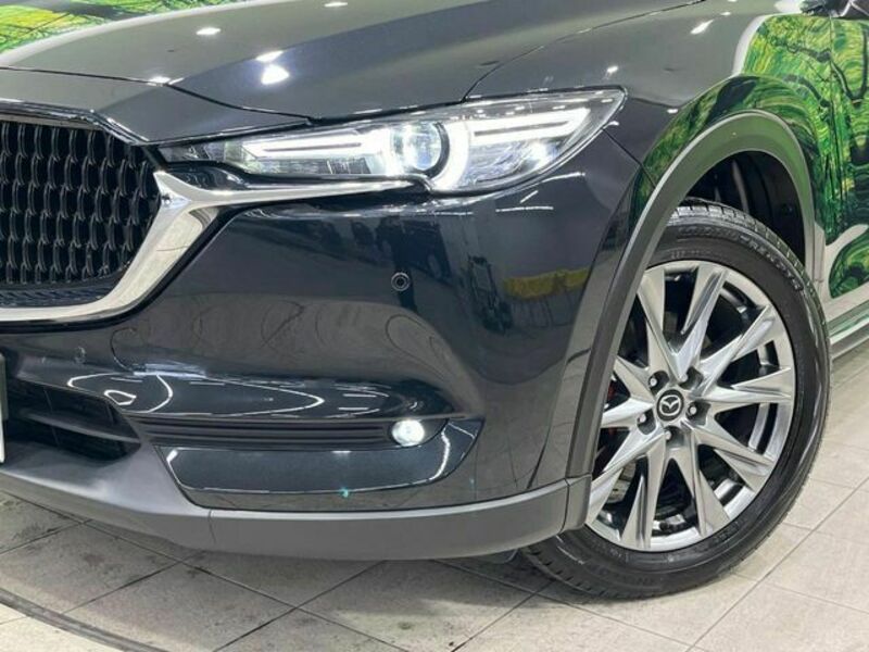 CX-8-12