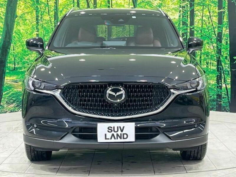 CX-8-14