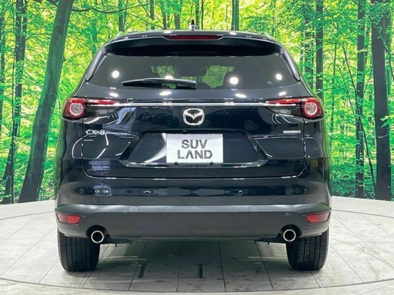 CX-8-15