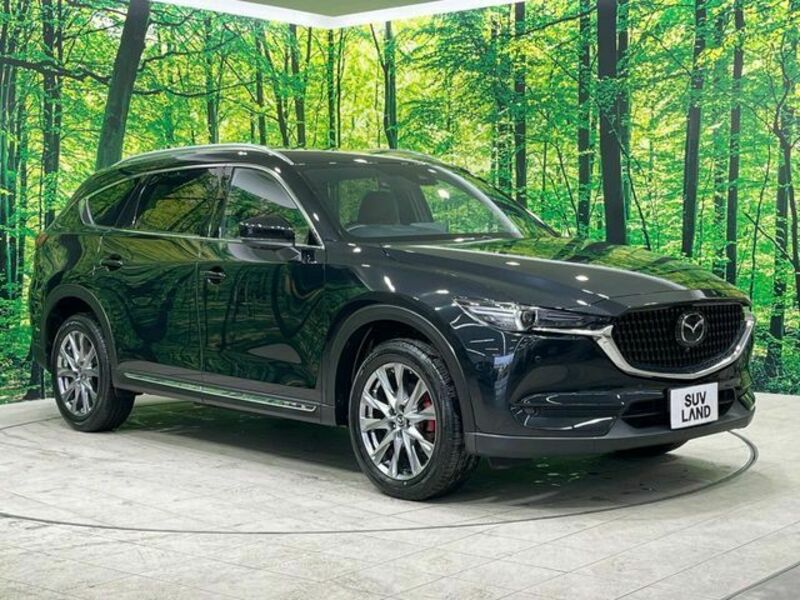 CX-8-16