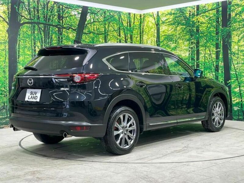 CX-8-17