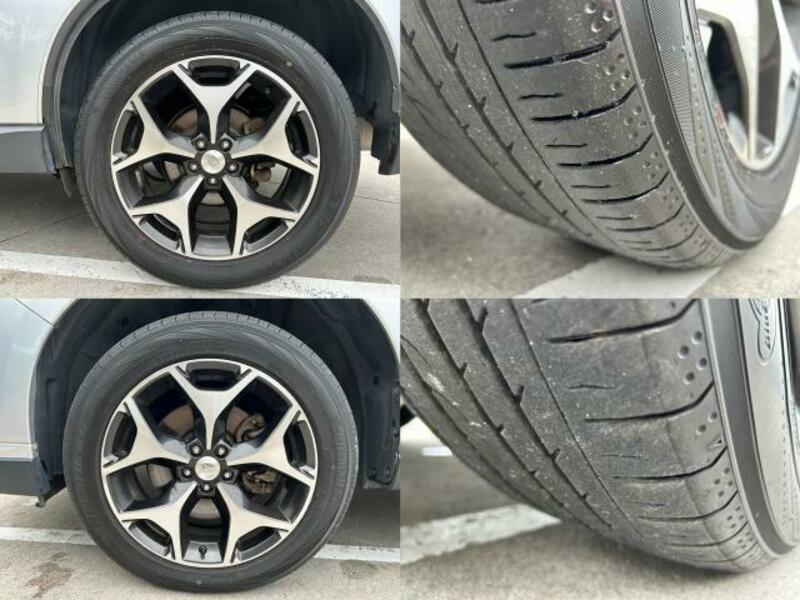 FORESTER-8