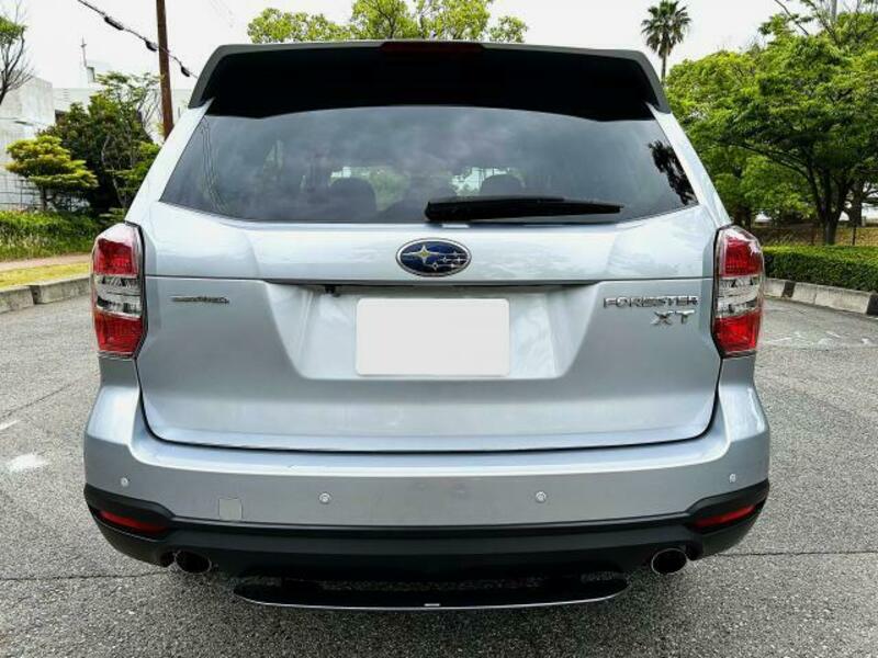 FORESTER-1