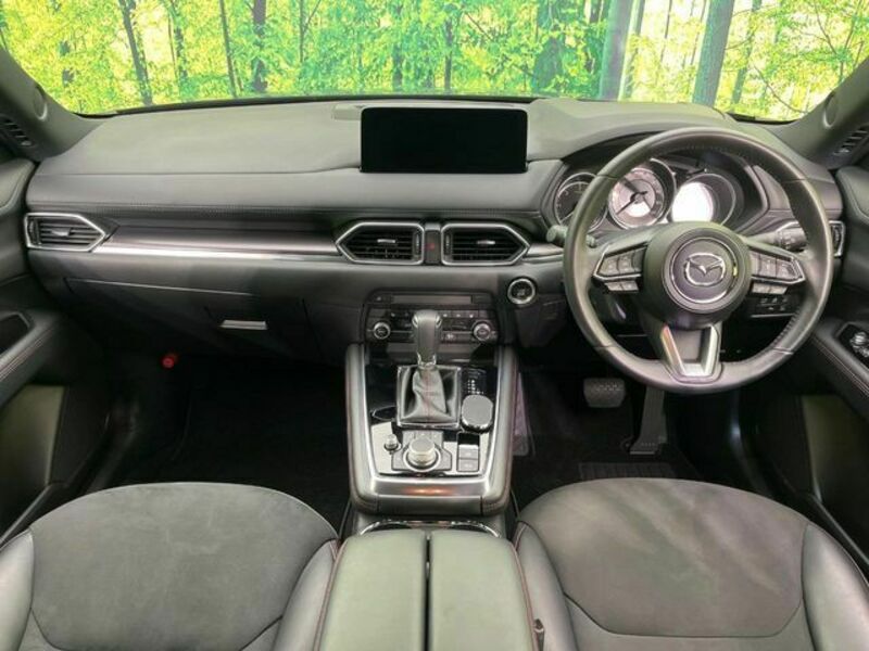 CX-8-1