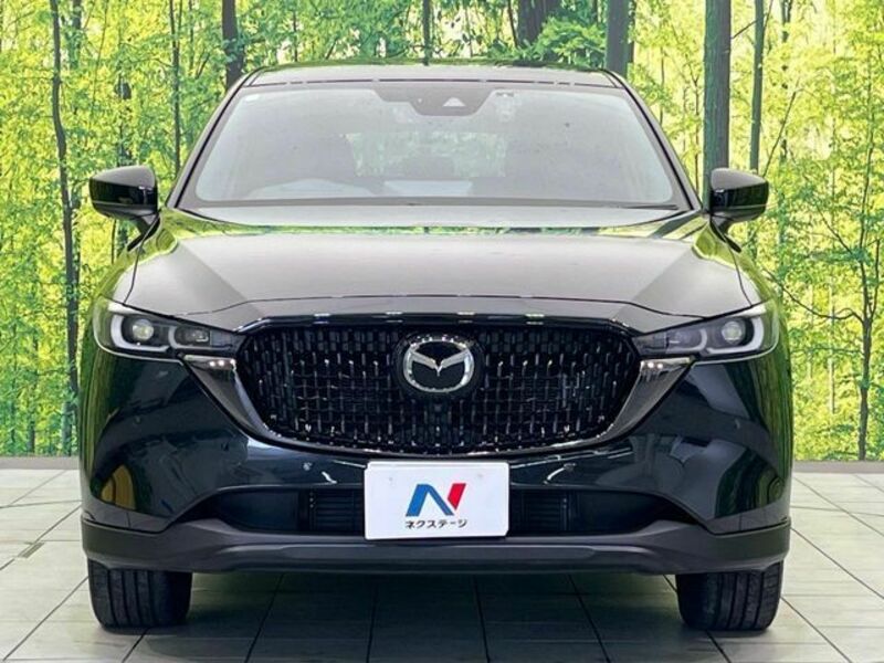 CX-8-13