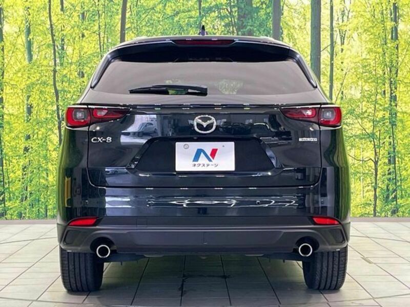 CX-8-14