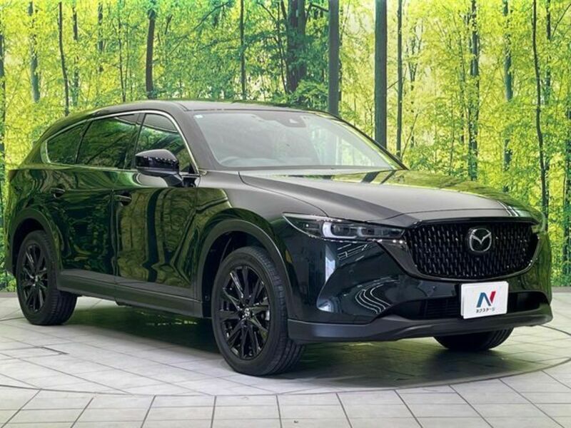 CX-8-15