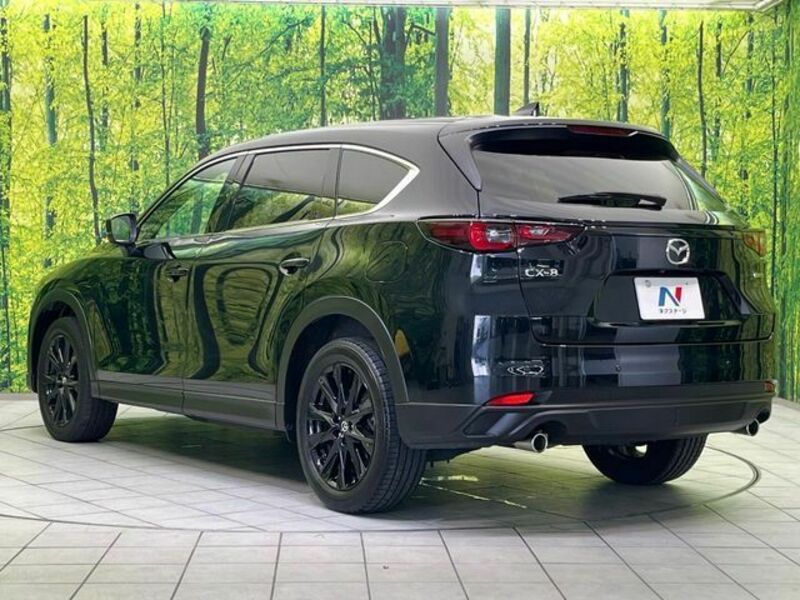 CX-8-16