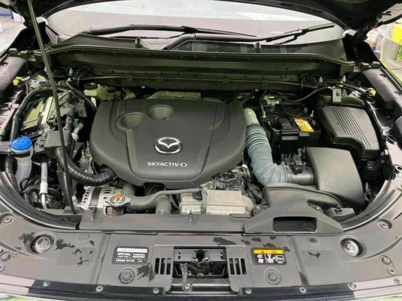 CX-8-17
