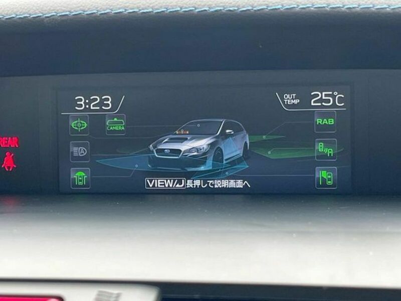 LEVORG-3