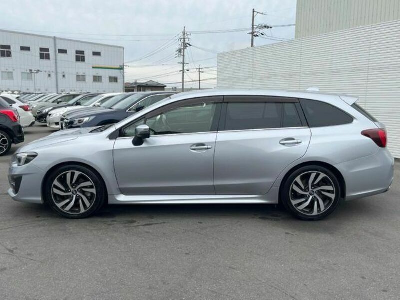 LEVORG-19