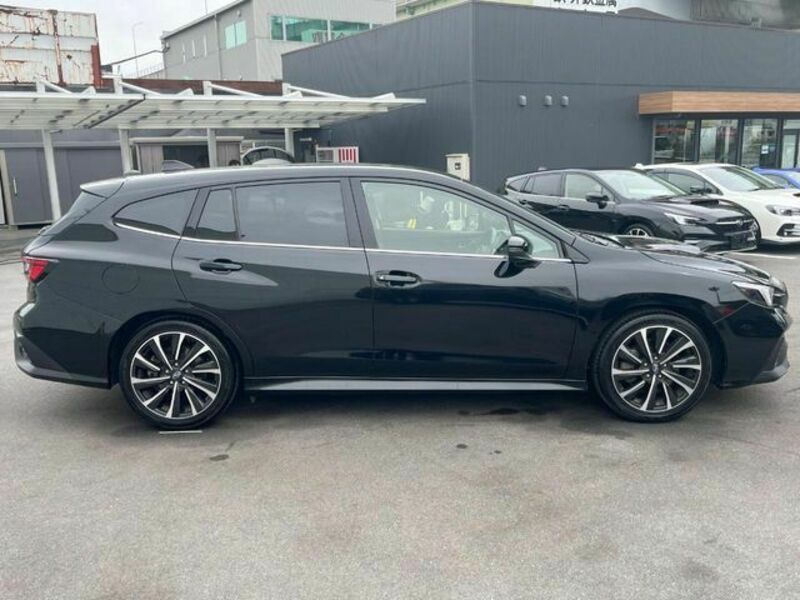 LEVORG