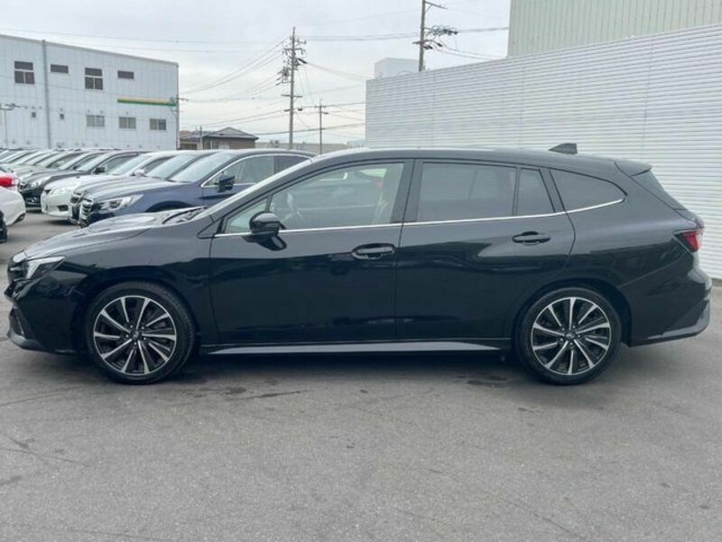 LEVORG