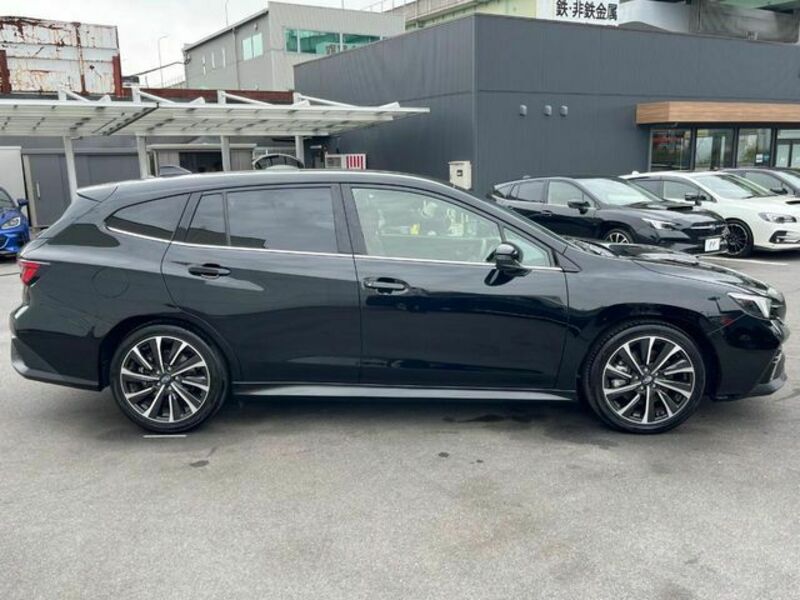 LEVORG