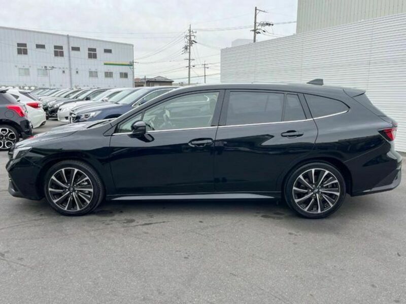 LEVORG