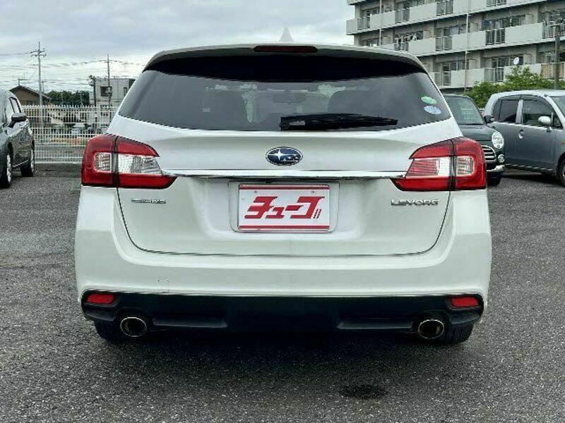 LEVORG