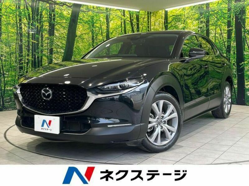 CX-30