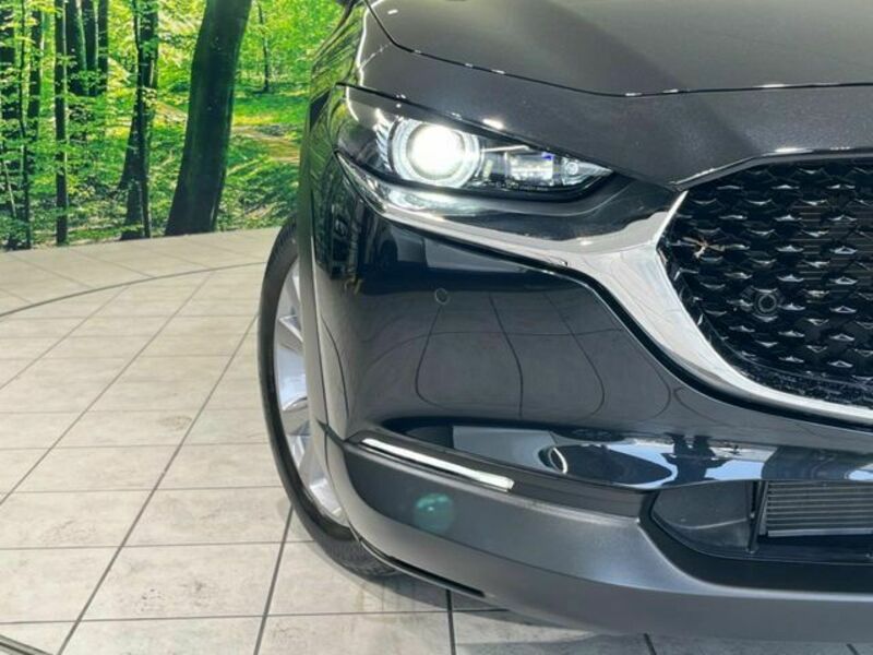 CX-30