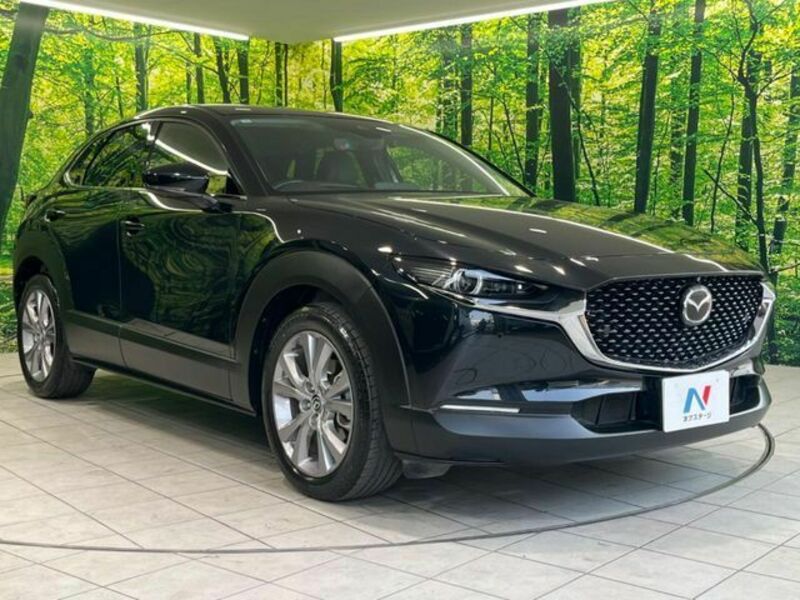 CX-30
