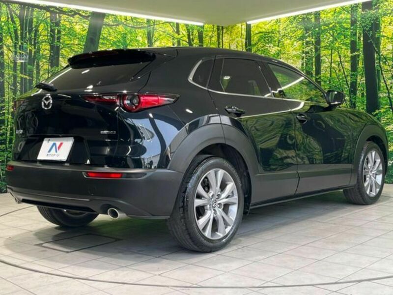 CX-30