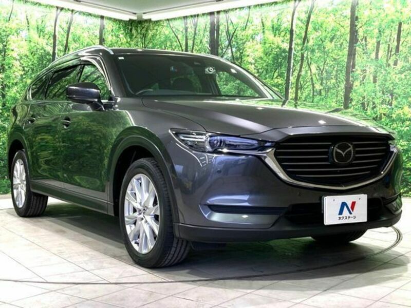 CX-8