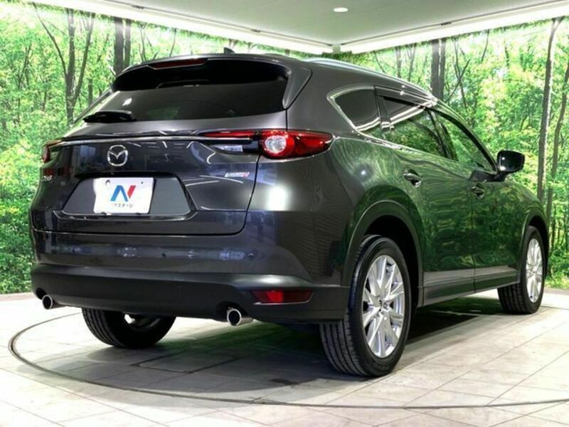 CX-8