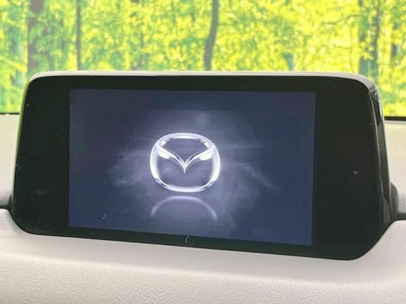 CX-8-2