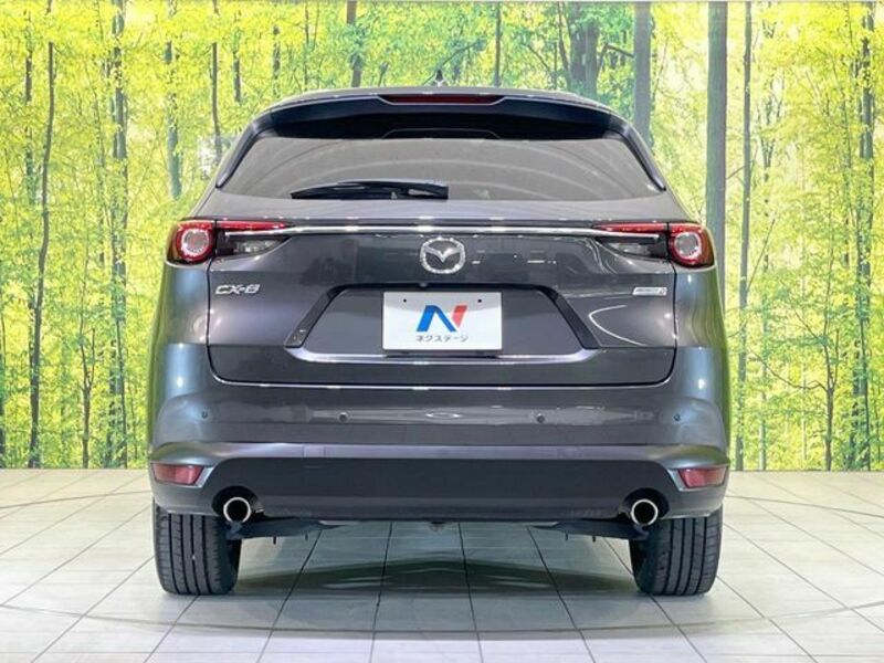 CX-8-15