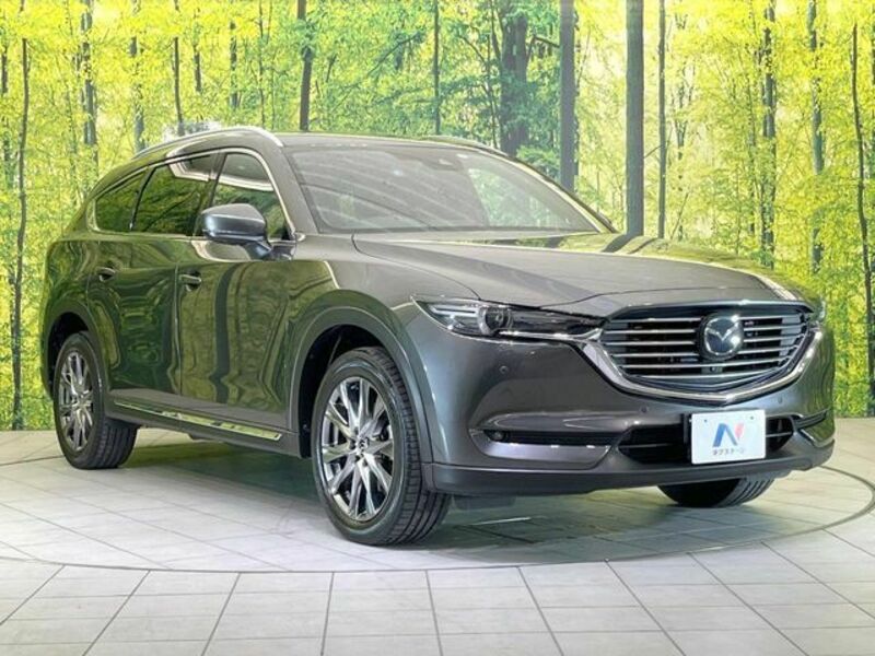 CX-8-16