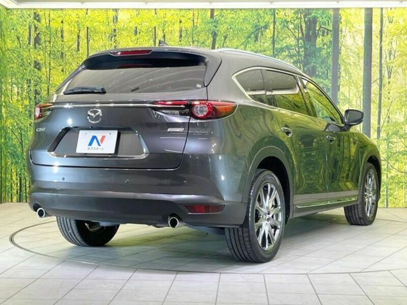 CX-8-17