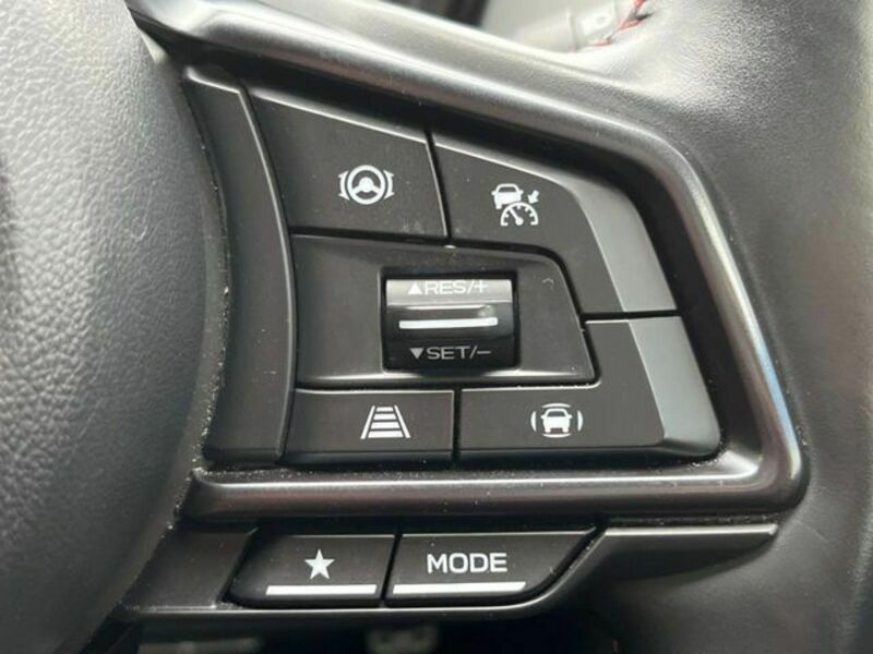 LEVORG-2