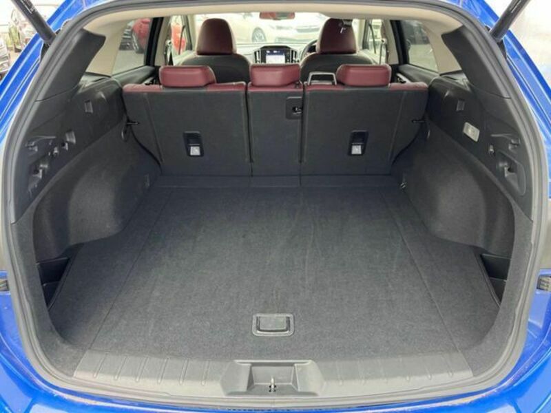 LEVORG-13