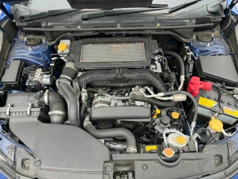 LEVORG-17