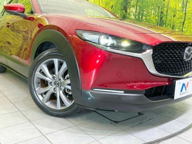 CX-30